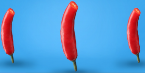 91视频在线观看网站